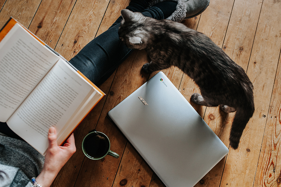 Take-home Chromebooks student with open book, closed chromebook and kitten